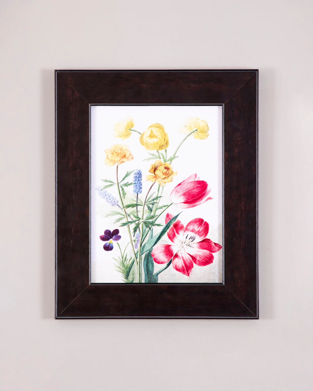 Bouquet Of Tulips 
