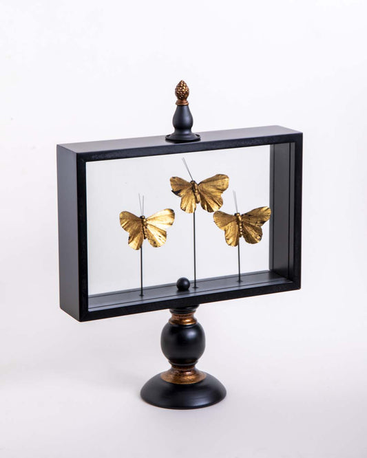 Butterfly Glass Display - Large