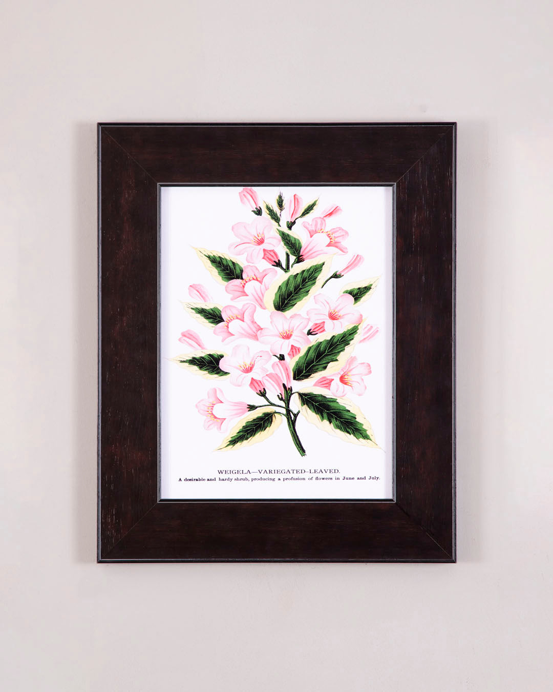 Botanical Charm 