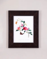 Camellias & Butterflies 