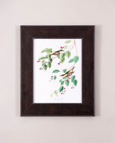 Carbonated Warbler Bird 