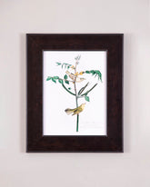 Children's Warbler Bird 