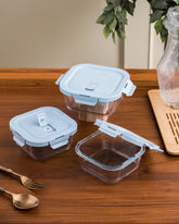 Borosilicate Transparent Tiffin Box - Set of 3