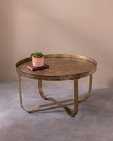 Crocodile Embossing Coffee Table - Large 