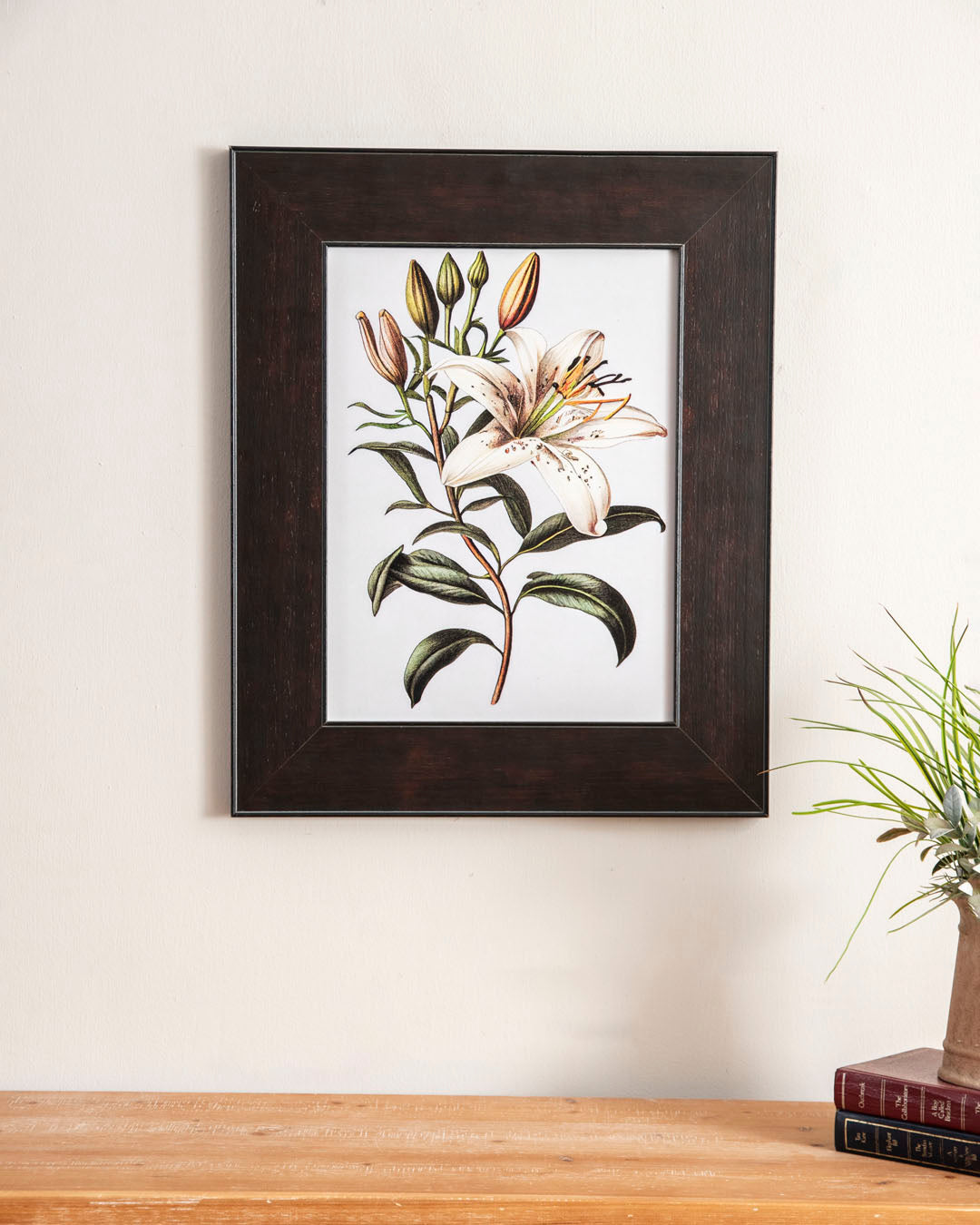 Botanical Lily Study 