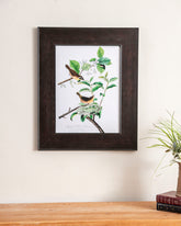 Maryland Yellow Throat Bird 