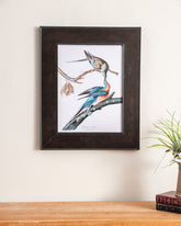 Passenger Pigeon Bird 