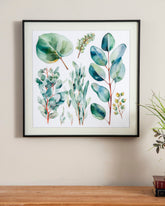 Eucalyptus Green Plant 