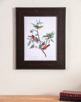 Painted Bunting Bird 