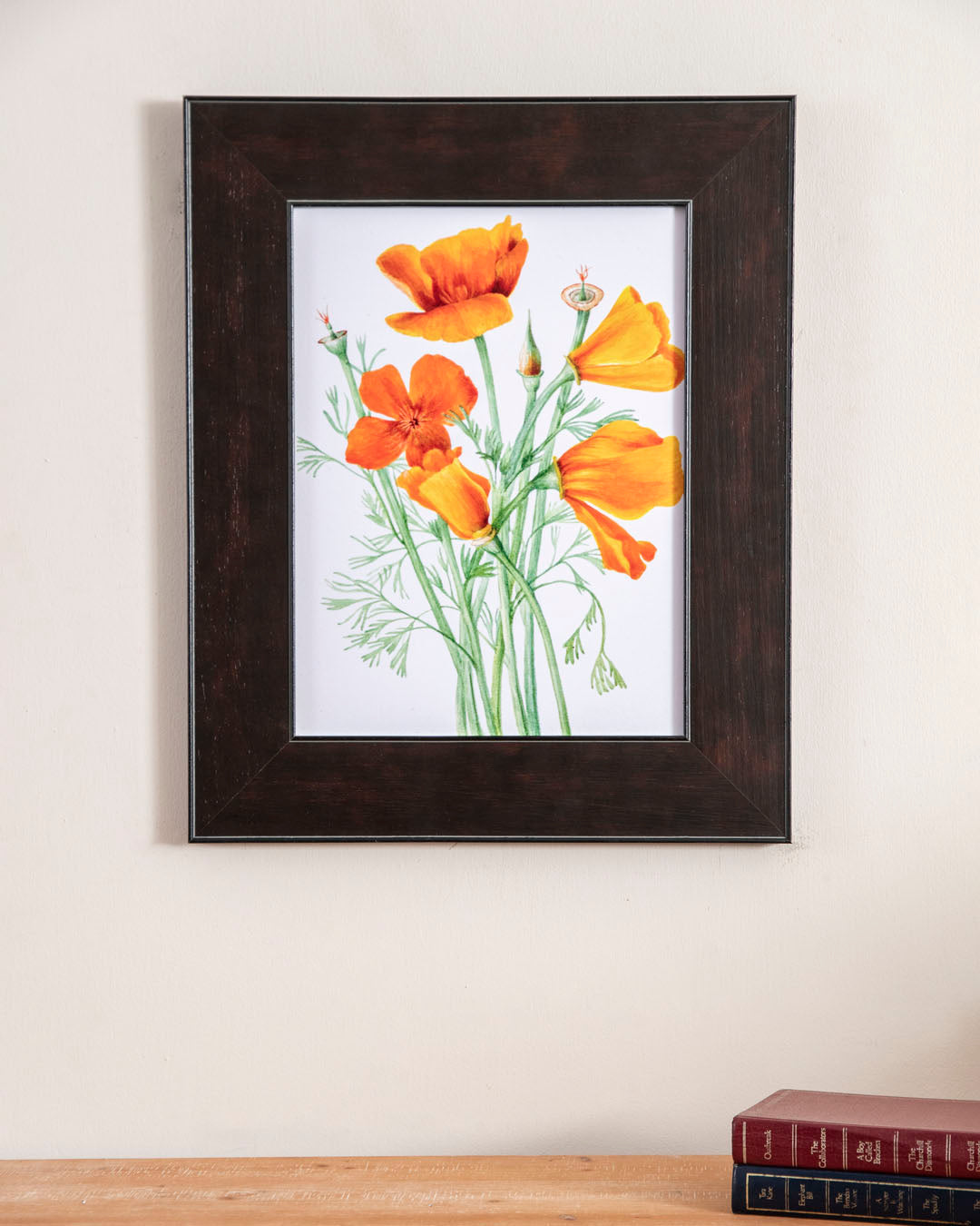 California Poppy 