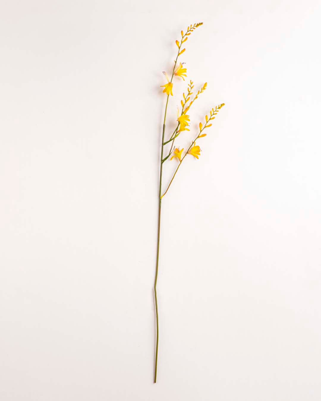 'Watsonia borbonica' Decorative Faux Flower Stick - Yellow 