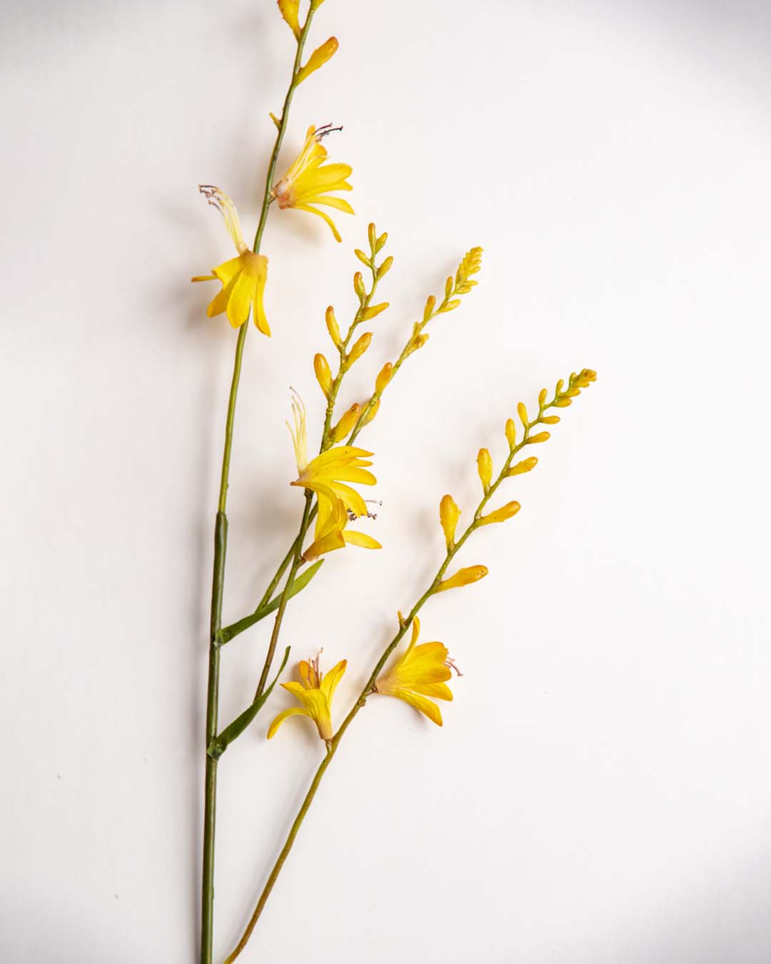 'Watsonia borbonica' Decorative Faux Flower Stick - Yellow 