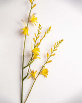 'Watsonia borbonica' Decorative Faux Flower Stick - Yellow 