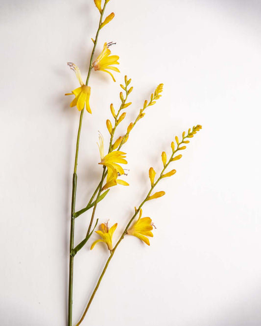 'Watsonia borbonica' Decorative Faux Flower Stick - Yellow