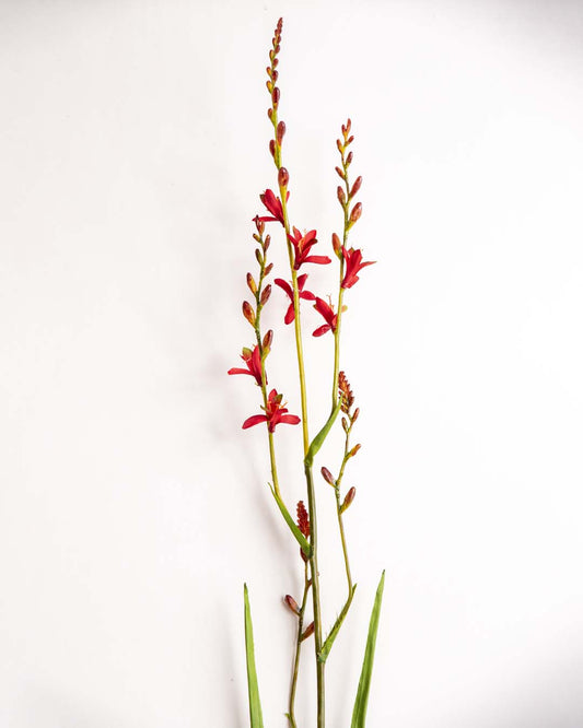 'Watsonia borbonica' Decorative Faux Flower Stick - Red