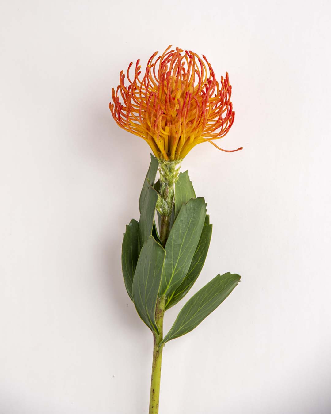 'Flame Flower' Decorative Faux Flower Stick - Orange 