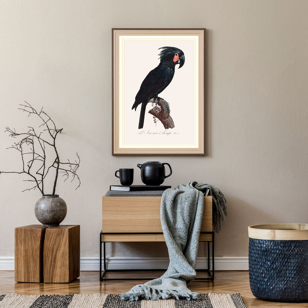 Goliath Cockatoo Bird Print 