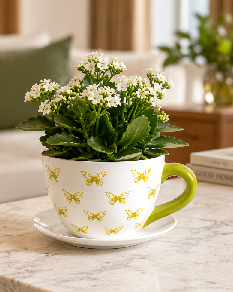 Butterfly Cup & Saucer Planter