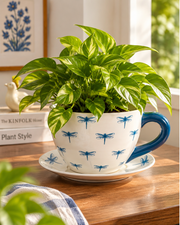 Dragonfly Cup & Saucer Planter