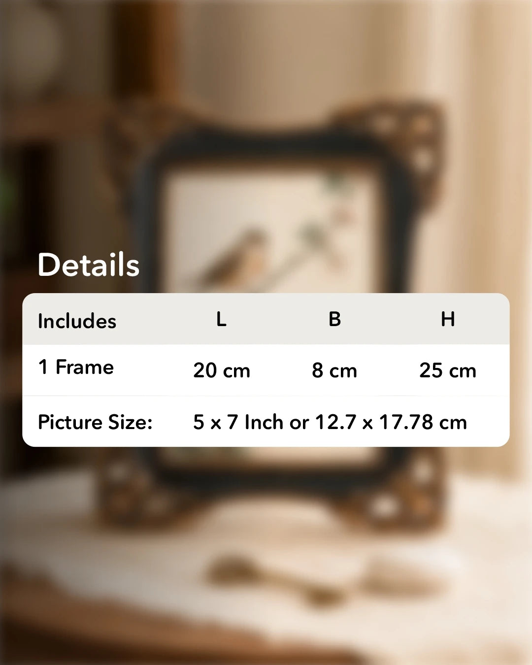 Vayle Victorian Photo Frame 