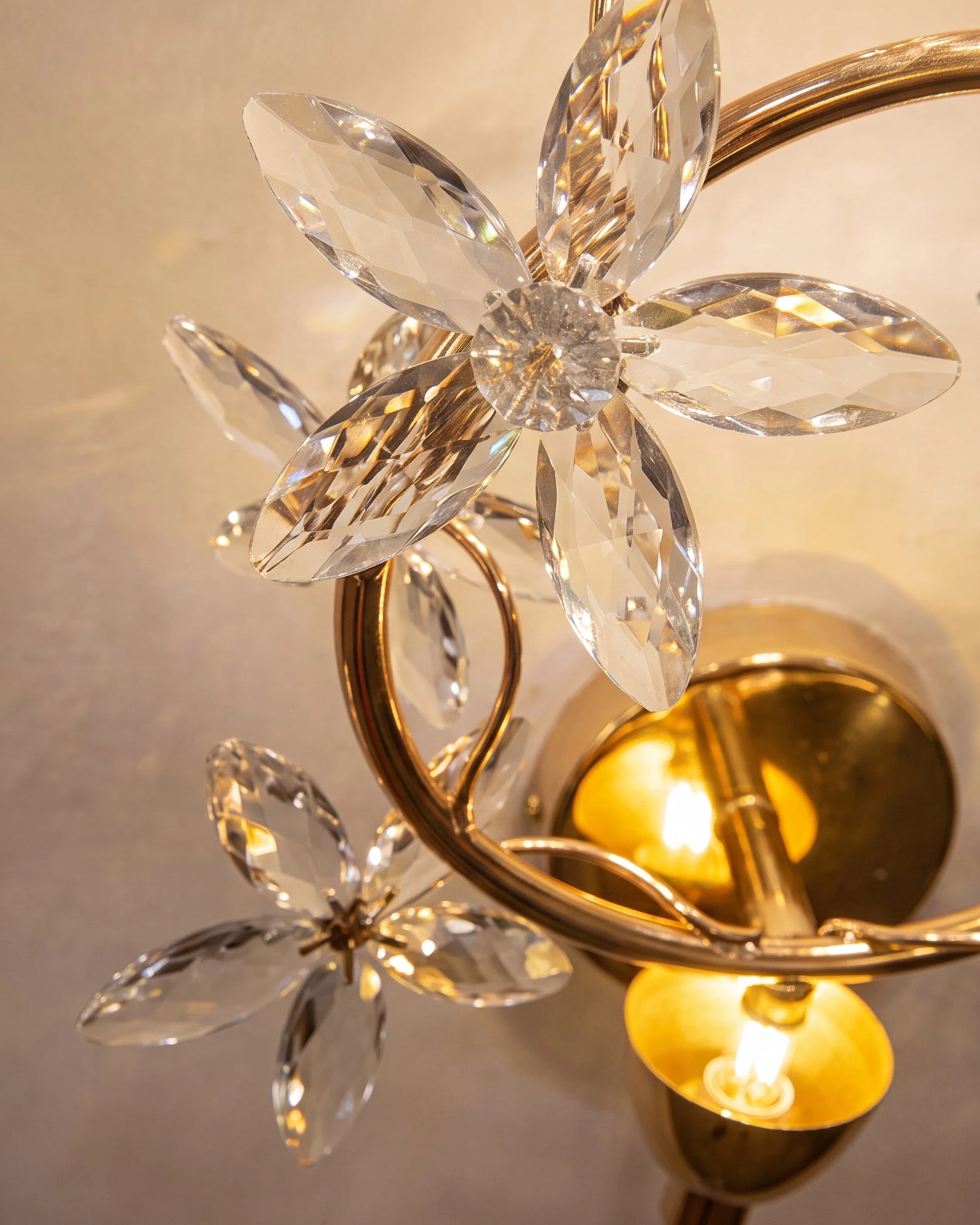 Floral Halo Wall Light - Clear 