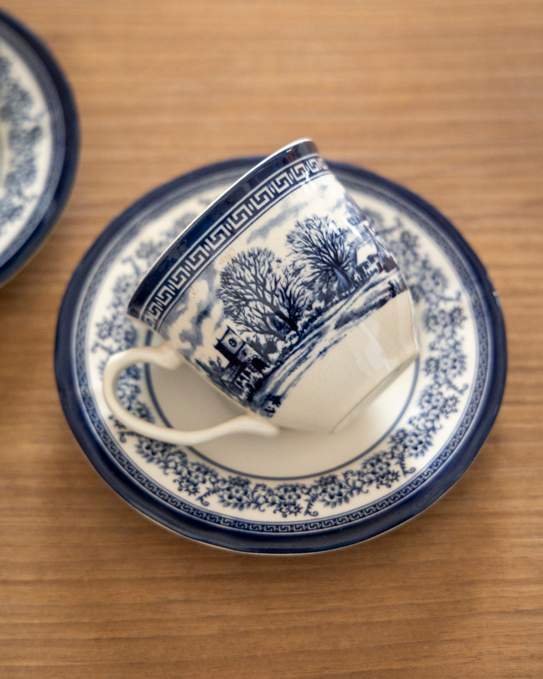 Halcyon Blue - 19 Piece Tea Set 