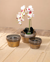 Victorian Baroque Planter- Set Of 3 