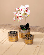 Antique Floral Rim Planter - Set Of 3