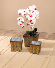 Antique Wicker Metal Planter - Set Of 3
