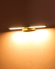 Modern Linear LED Picture Display Wall Light