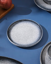 Deep Sea Speckled Quarter Plate 