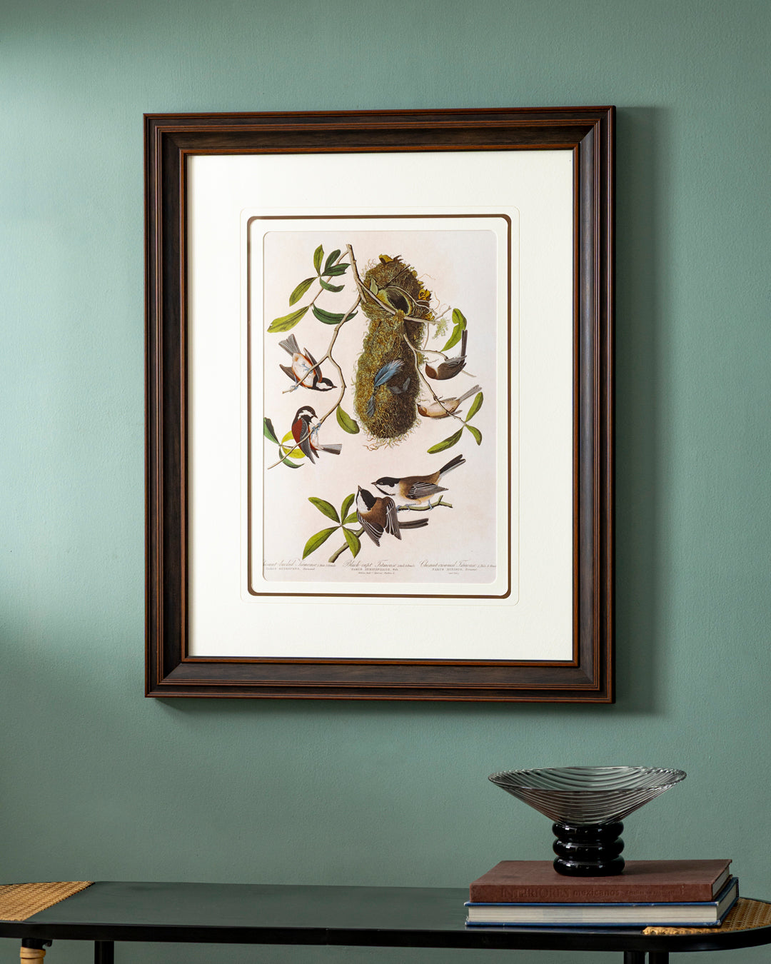 Chestnut Crowned Titmouse Birds Print "24x30" Inches 