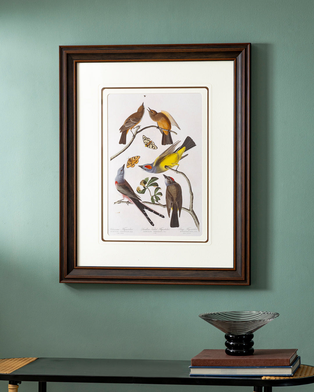 Arkansaw Says Flycatcher Birds Print "24x30" Inches