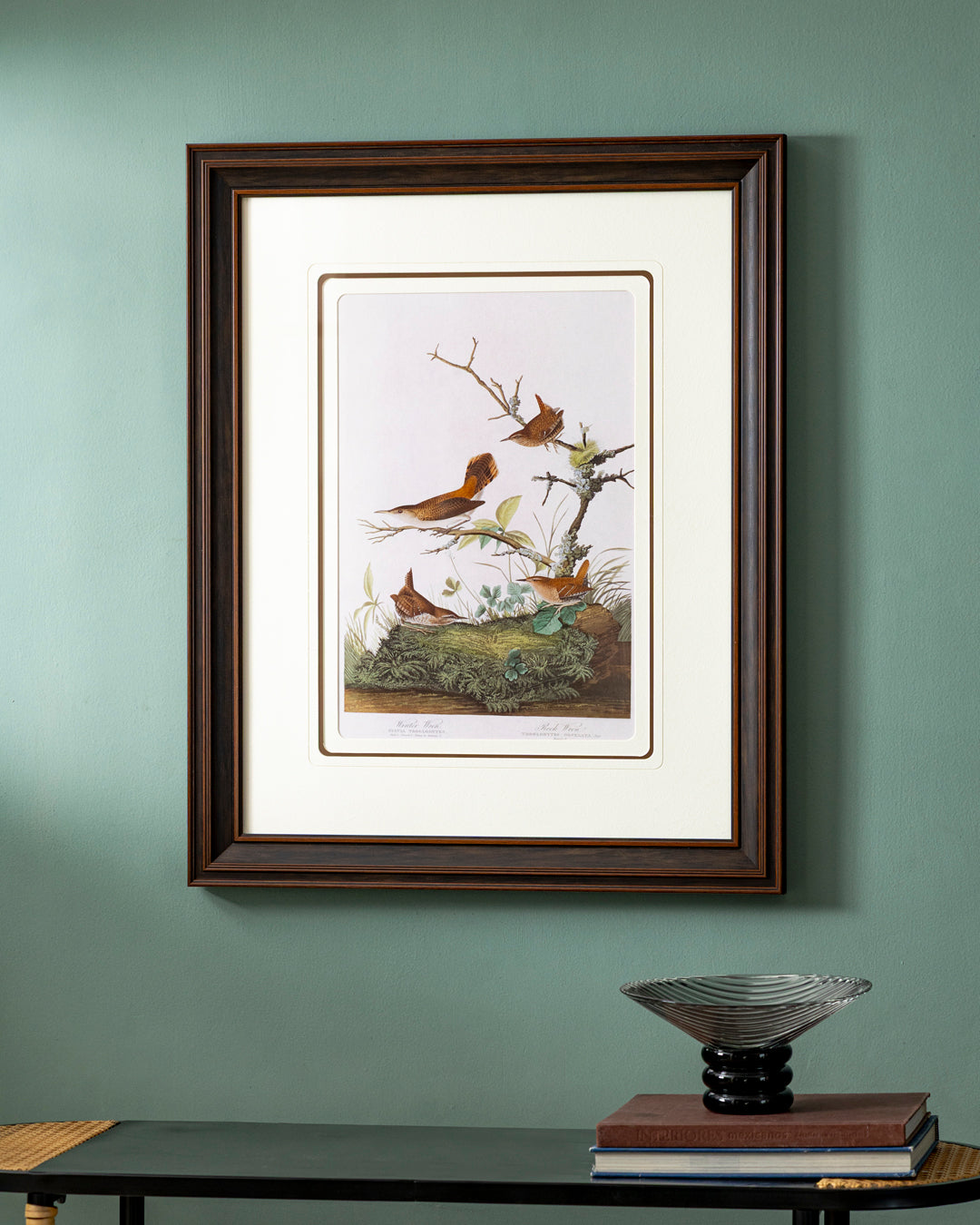 Winter Wren And Rock Wren Birds Print "24x30" Inches