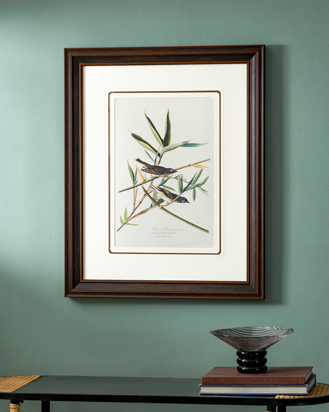 Solitary Flycatcher Bird Print "24x30" Inches