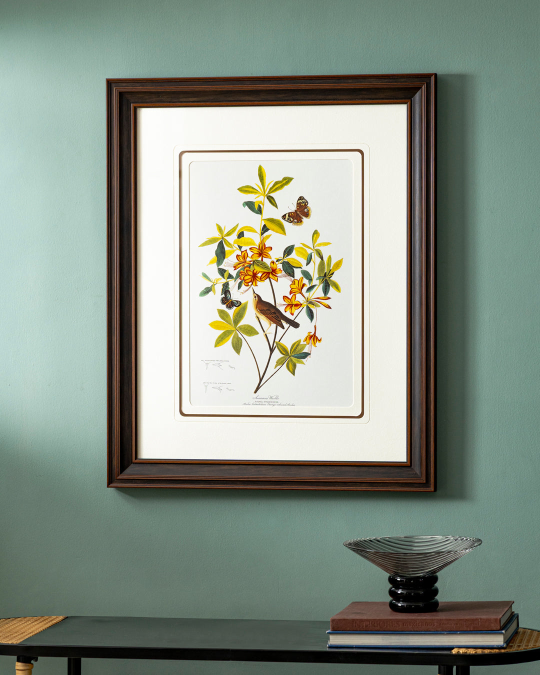 Brown Headed Worm Eating Warbler Bird Print "24x30" Inches