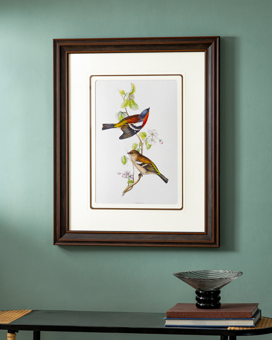 Gould Birds Europe Print "24x30" Inches