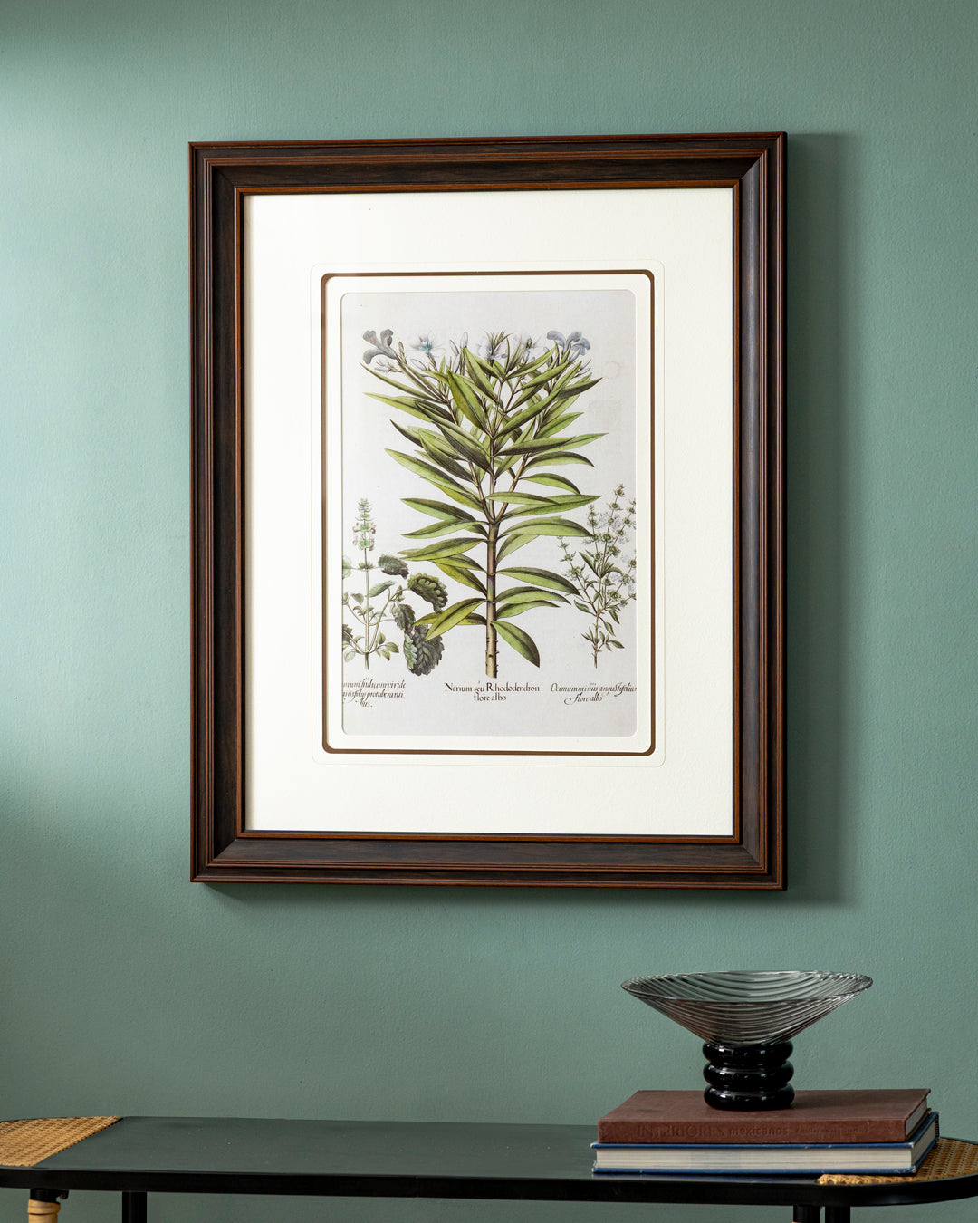 Basil Or Rhododendron Pants Print "24x30" Inches