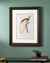 Emperor bird of paradise Print "24x30" Inches 