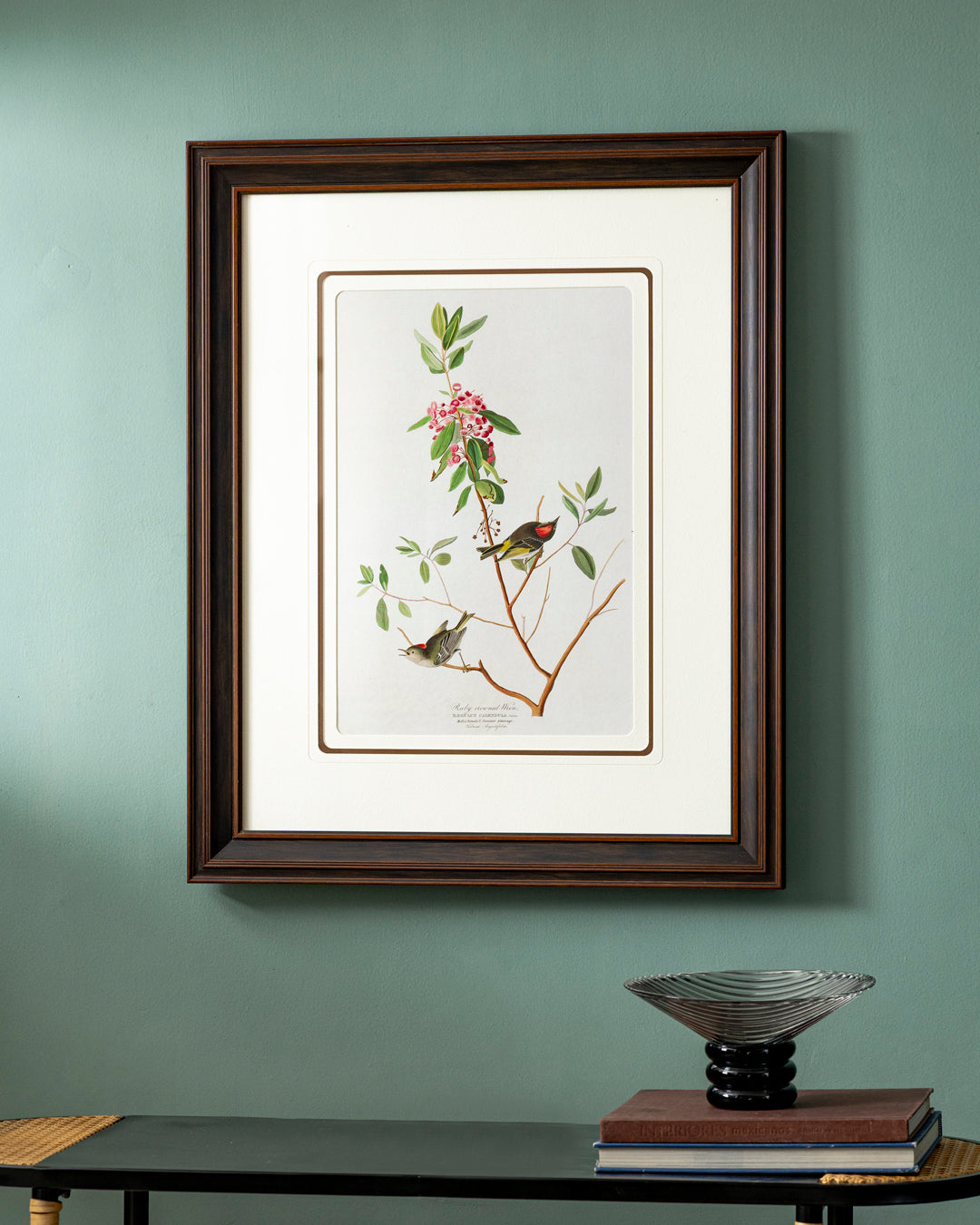 Ruby Crowned Wren Bird Print "24x30" Inches