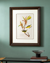 Kentucky Warbler Bird Print "24x30" Inches 