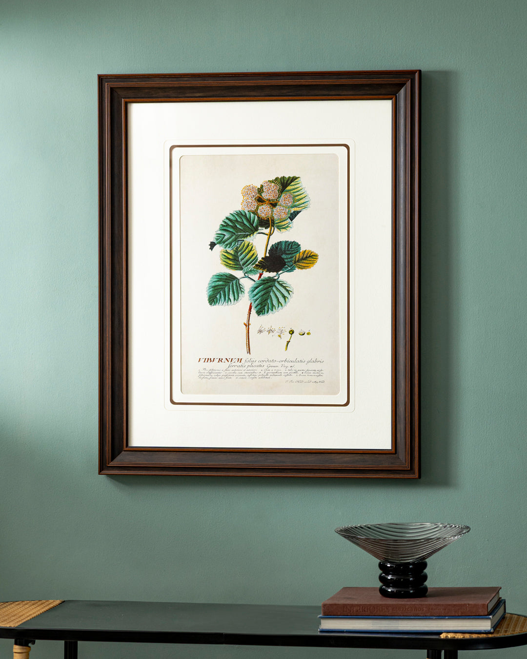 Green Botanical Plant Print "24x30" Inches