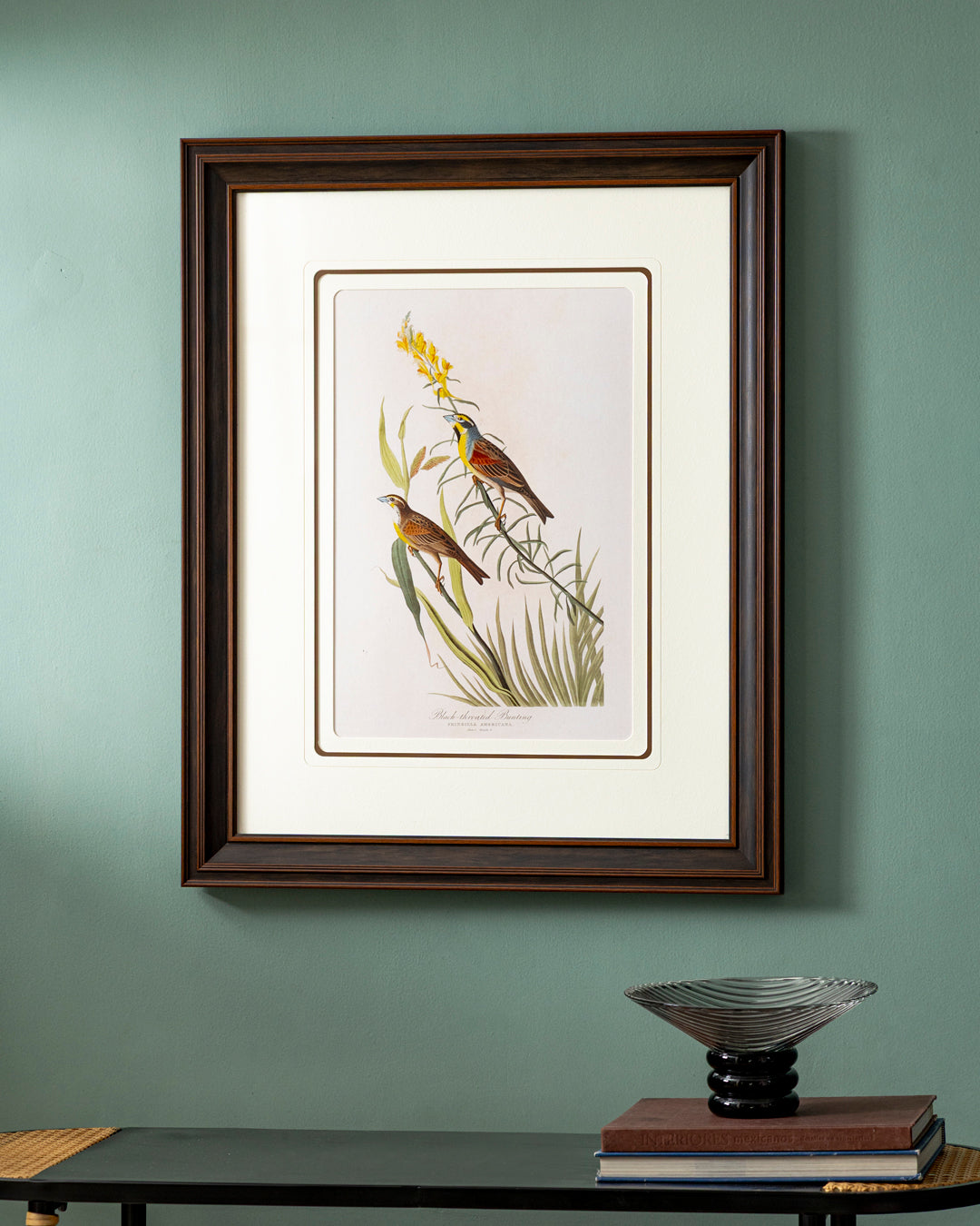 Black Throated Bunting Bird Print "24x30" Inches