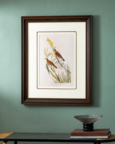 Black Throated Bunting Bird Print "24x30" Inches 