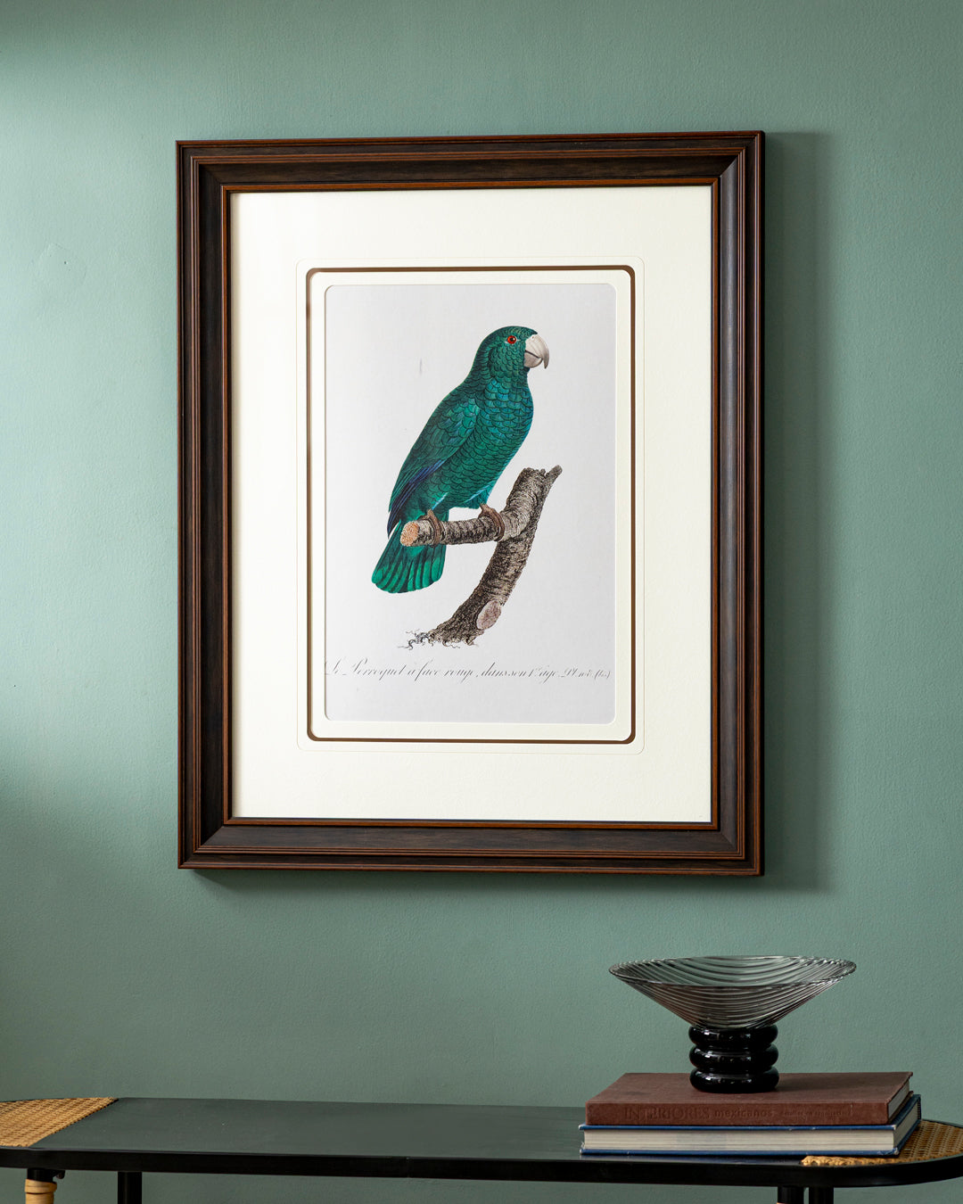 Cuban Parrot Bird Print "24x30" Inches
