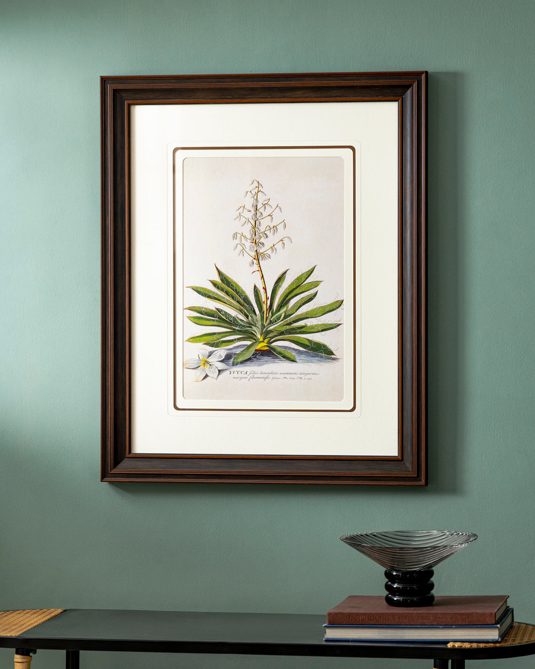 yucca Print "24x30" Inches