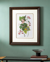 Black And Yellow Warbler Bird Print "24x30" Inches 