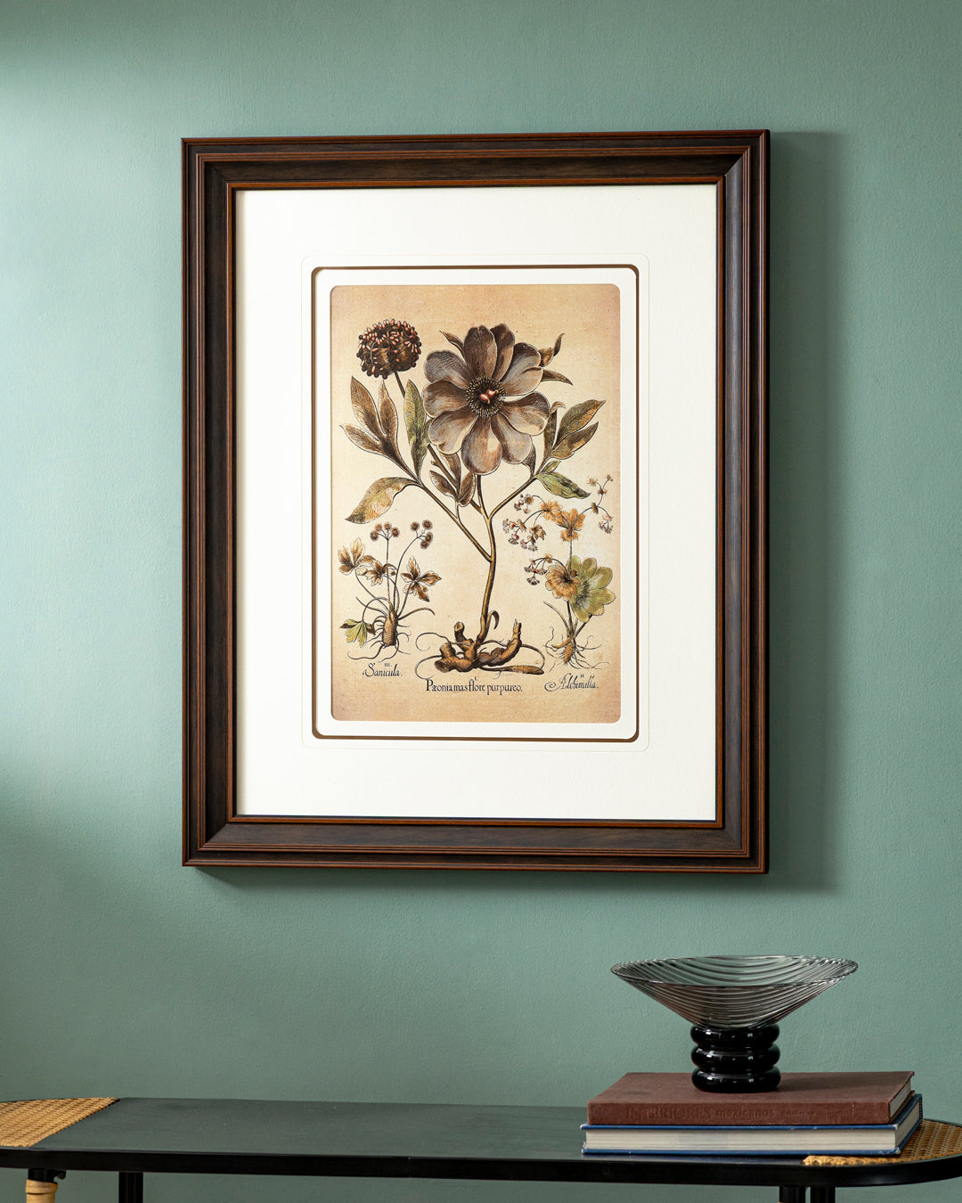 Poeonia Male Purple Flower Print "24x30" Inches
