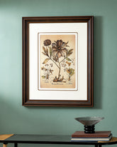 Poeonia Male Purple Flower Print "24x30" Inches 