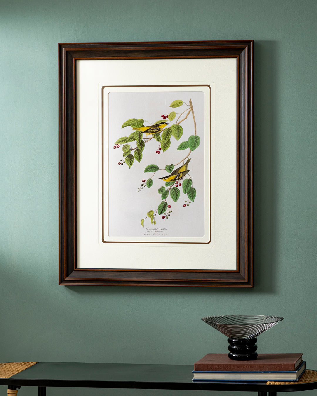 Carbonated Warbler Bird Print "24x30" Inches
